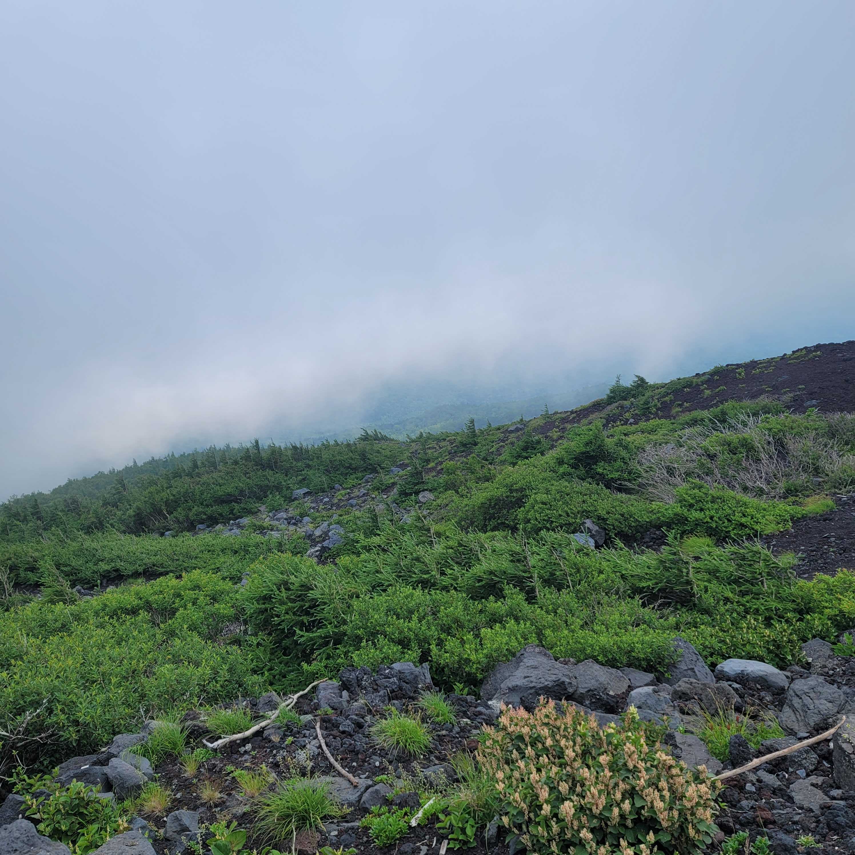 富士登山